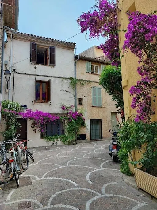 Nice & Les Cypres Apartment
