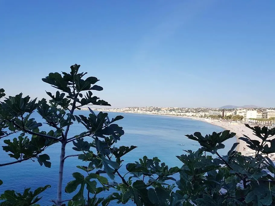 Nice & Les Cypres Apartment